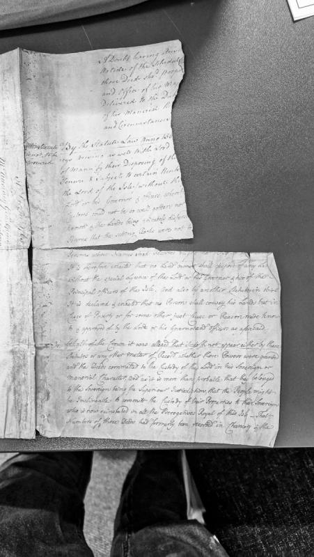 Statutory provisions regarding land conveyance and deed custody on the Isle of Man